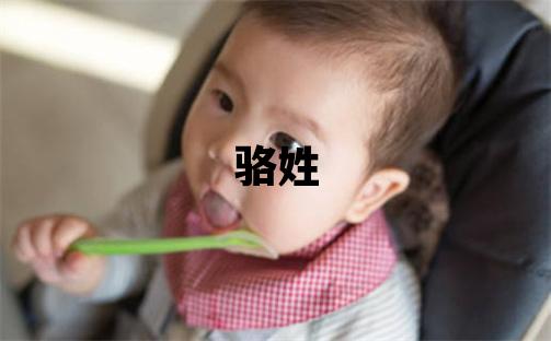 駱姓洋氣的男孩名字,取什么名字好