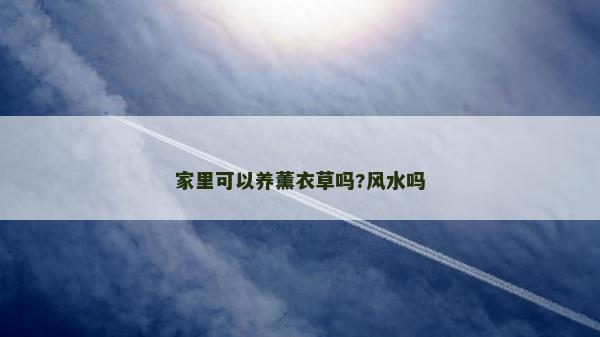 家里可以養(yǎng)薰衣草嗎?風(fēng)水嗎