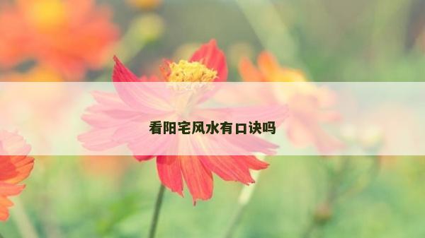 看陽宅風水有口訣嗎 看陽宅風水有口訣嗎