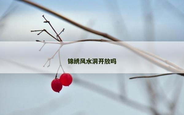 錦繡風水洞開放嗎