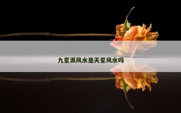 九星派風(fēng)水是天星風(fēng)水嗎