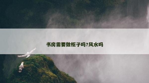 書房需要做柜子嗎?風水嗎 書房需要做柜子嗎?風水嗎