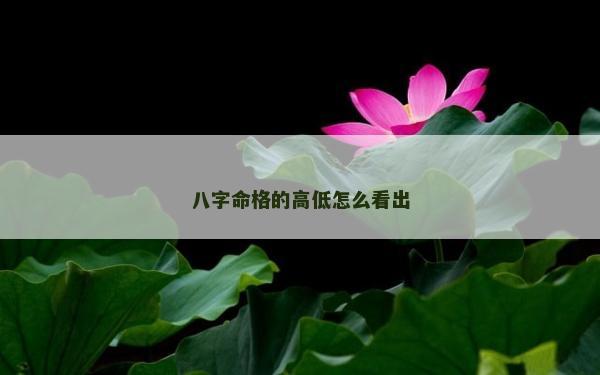 八字命格的高低怎么看出