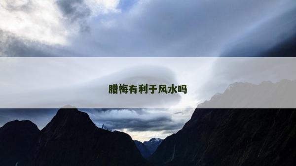 臘梅有利于風(fēng)水嗎 臘梅有利于風(fēng)水嗎