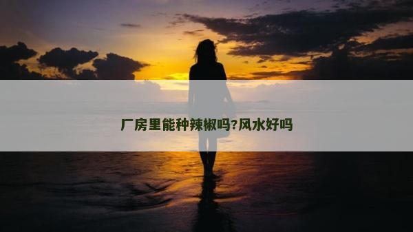 廠房里能種辣椒嗎?風水好嗎 廠房里能種辣椒嗎?風水好嗎