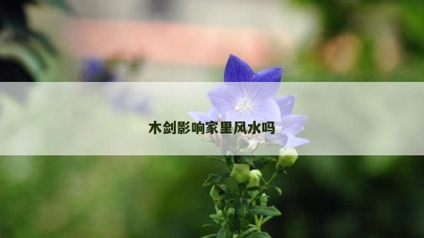 木劍影響家里風水嗎