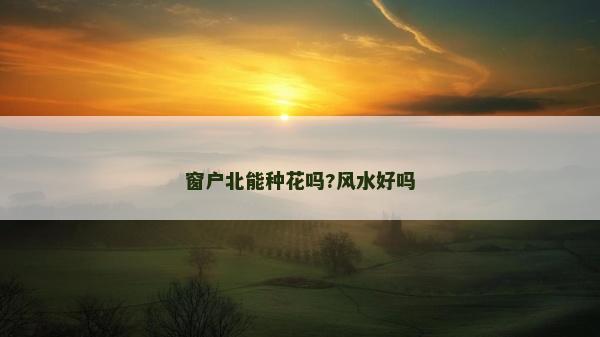 窗戶北能種花嗎?風水好嗎