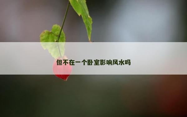 但不在一個臥室影響風水嗎