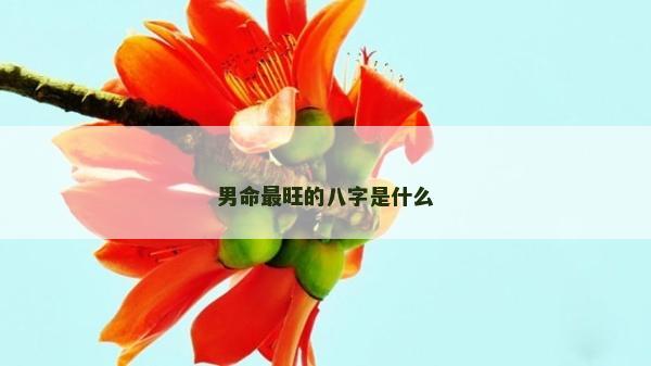 男命最旺的八字是什么