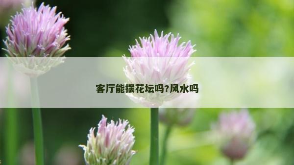客廳能擺花壇嗎?風水嗎