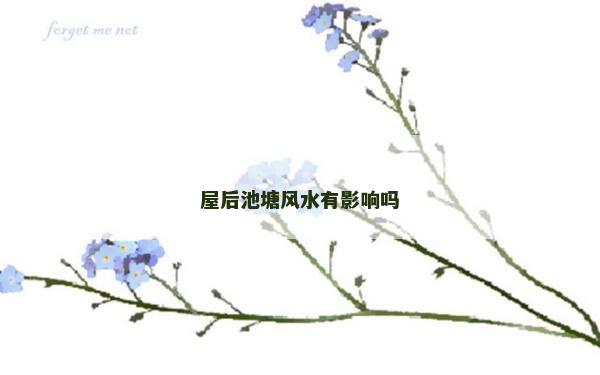 屋后池塘風水有影響嗎