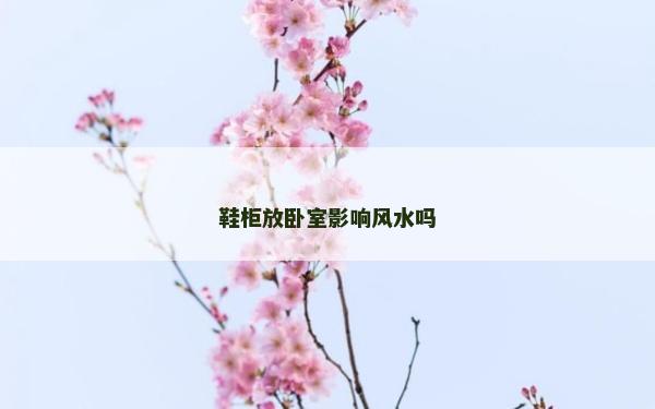 鞋柜放臥室影響風水嗎