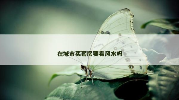 在城市買套房要看風水嗎