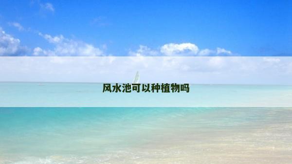 風水池可以種植物嗎