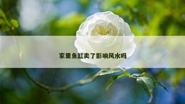 家里魚(yú)缸賣(mài)了影響風(fēng)水嗎