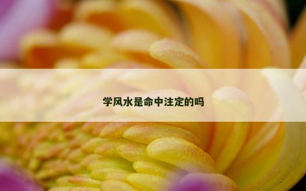學(xué)風(fēng)水是命中注定的嗎
