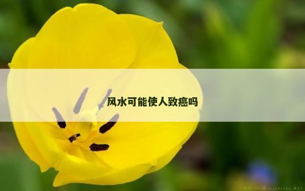 風水可能使人致癌嗎