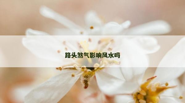 路頭煞氣影響風水嗎