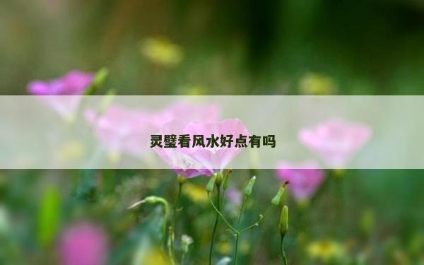 靈璧看風水好點有嗎 靈璧看風水好點有嗎