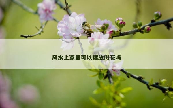 風水上家里可以擺放假花嗎