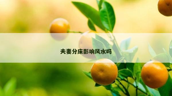 夫妻分床影響風水嗎