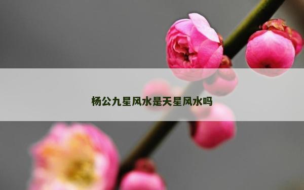 楊公九星風水是天星風水嗎