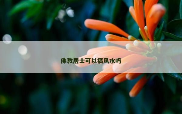 佛教居士可以搞風(fēng)水嗎