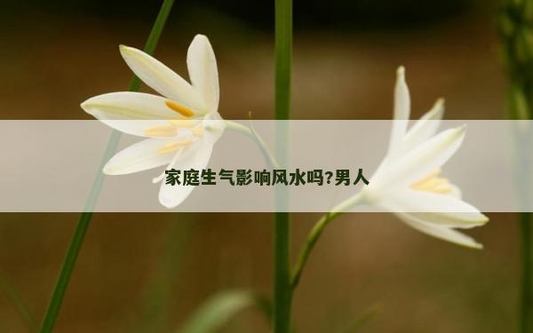 家庭生氣影響風水嗎?男人