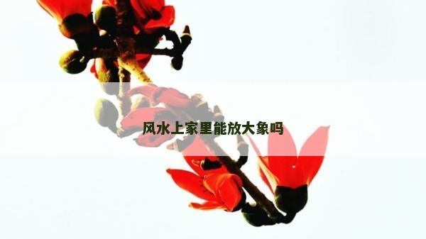 風水上家里能放大象嗎