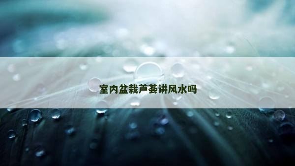 室內盆栽蘆薈講風水嗎 室內盆栽蘆薈講風水嗎