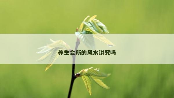 養生會所的風水講究嗎