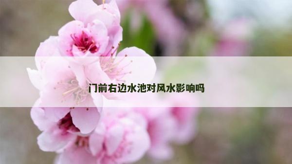 門前右邊水池對風水影響嗎