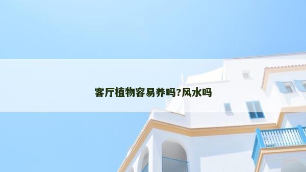 客廳植物容易養嗎?風水嗎