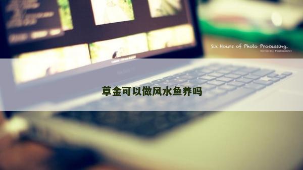 草金可以做風水魚養嗎