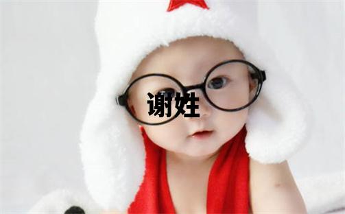 謝姓有新意的男寶寶名字