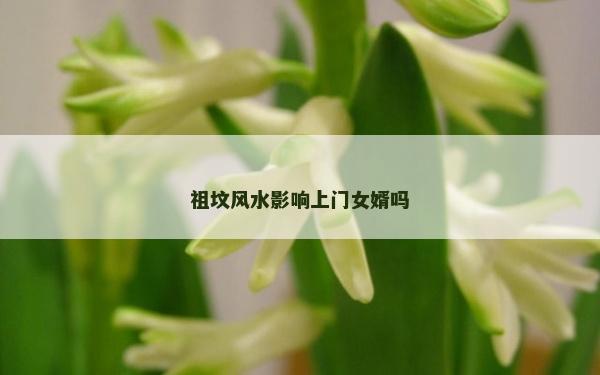 祖墳風(fēng)水影響上門女婿嗎