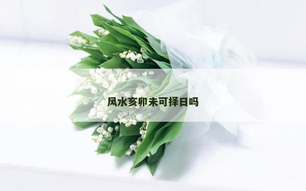 風水亥卯未可擇日嗎