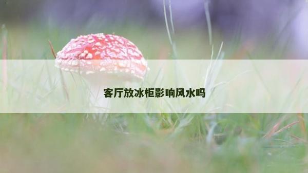 客廳放冰柜影響風(fēng)水嗎