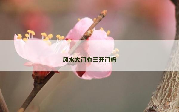 風(fēng)水大門有三開門嗎 風(fēng)水大門有三開門嗎