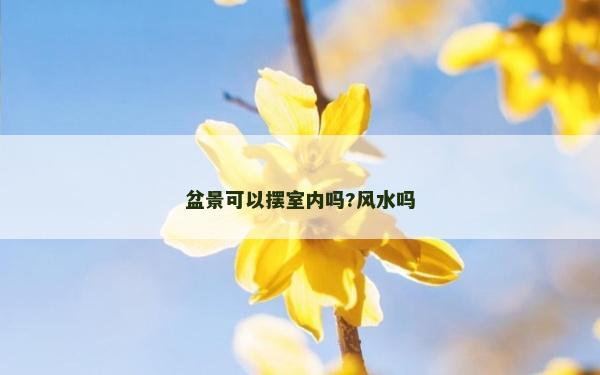 盆景可以擺室內嗎?風水嗎 盆景可以擺室內嗎?風水嗎