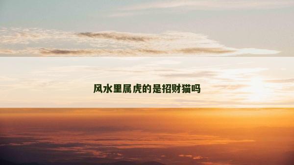 風(fēng)水里屬虎的是招財貓嗎