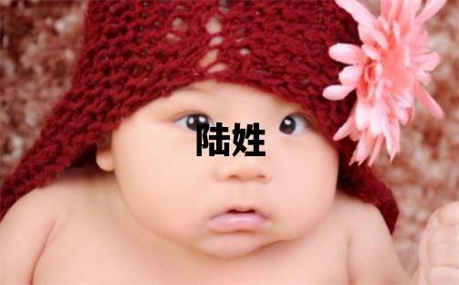 陸姓有靈氣的男孩名字,取什么名字好