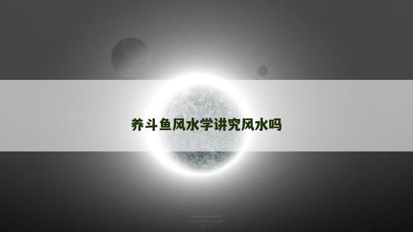 養斗魚風水學講究風水嗎
