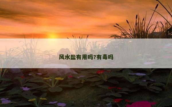 風(fēng)水鹽有用嗎?有毒嗎