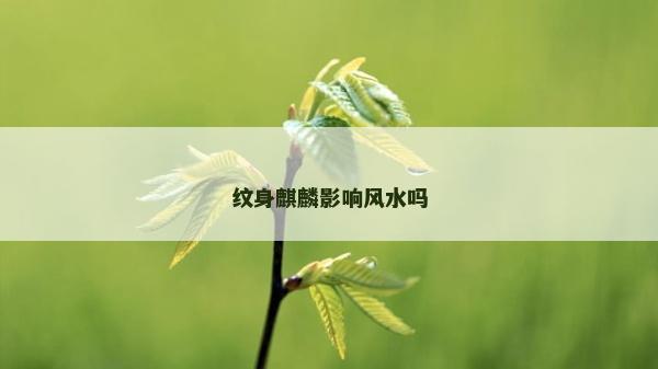 紋身麒麟影響風(fēng)水嗎