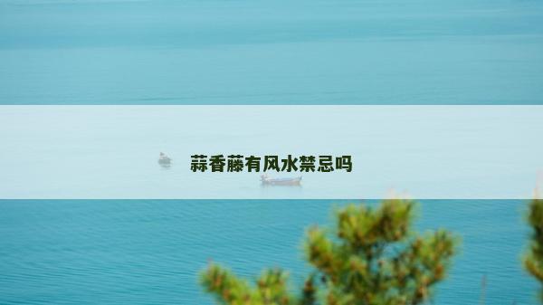 蒜香藤有風水禁忌嗎
