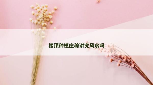 樓頂種植莊稼講究風水嗎