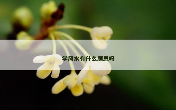 學風水有什么顧忌嗎 學風水有什么顧忌嗎