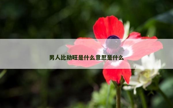 男人比劫旺是什么意思是什么