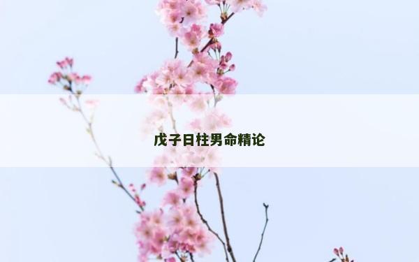 戊子日柱男命精論